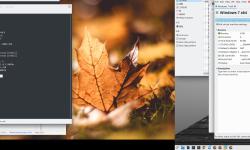 Featured image of post Linux Desktop on Dual Monitor with Different DPI